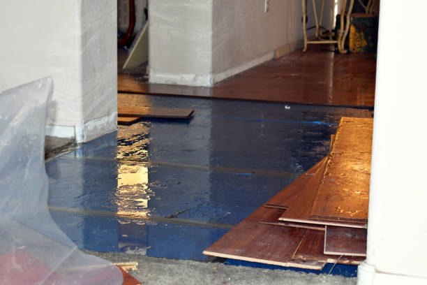 Professional Flood Cleanup technician working in Fayetteville, TX